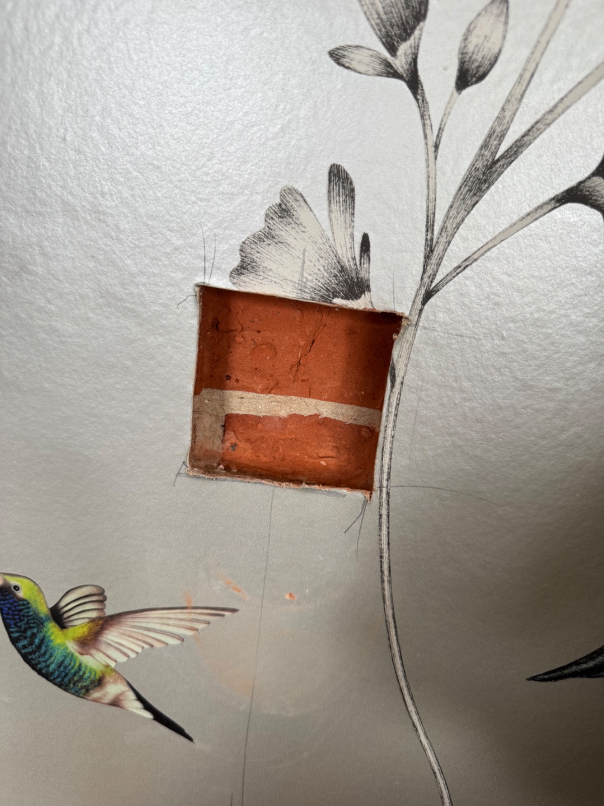 Neat rectangular cut-out in a wallpapered wall in a Caversham home, ready for a new socket back box, with the wallpaper intact around the edges