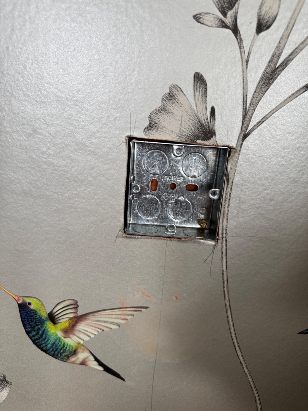 Newly fitted white single socket on a wallpapered wall in a Caversham home, with a clean finish and no damage to the surrounding paper