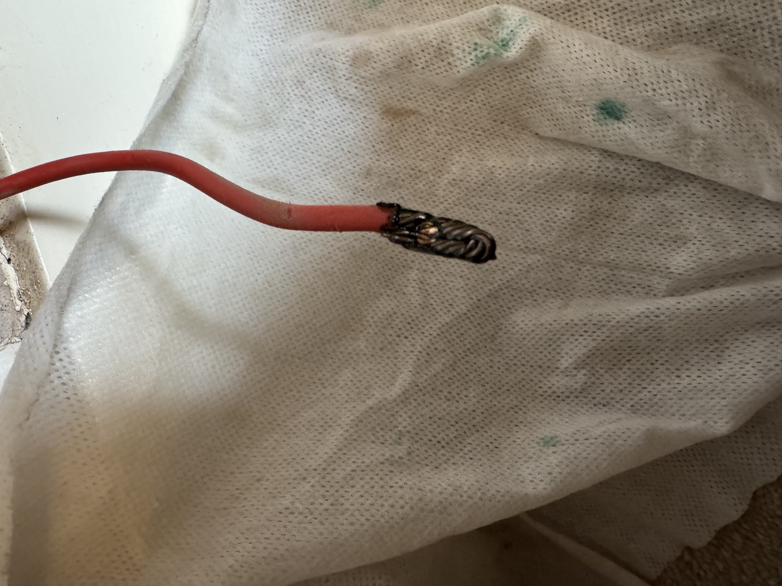 Section of old PVC twin-and-earth cable removed from the wall, with green residue coating the copper conductors and insulation